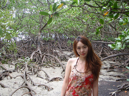 images_008