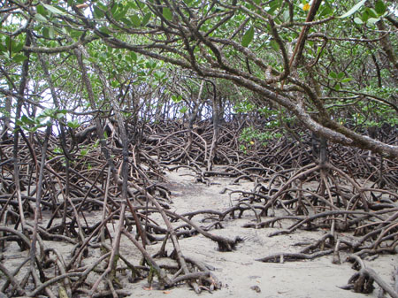images_012