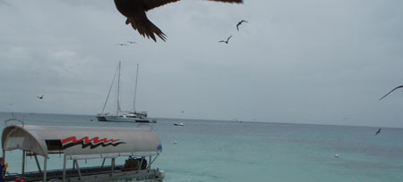 images_016