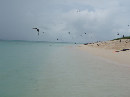 images_017