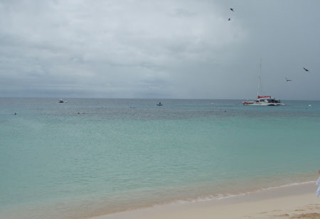 images_018