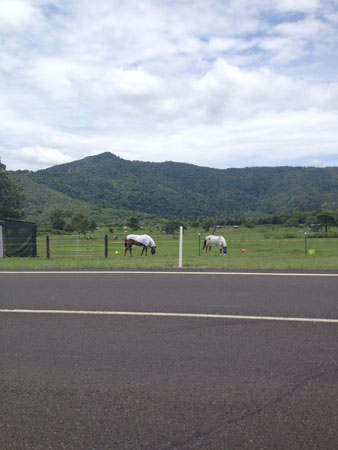 images_020