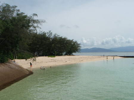 images_029