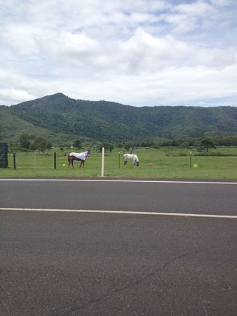 images_031