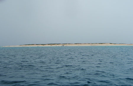 images_050