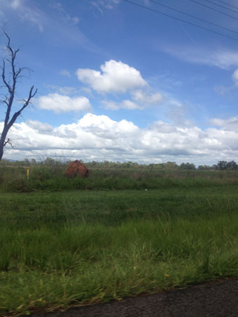 images_079