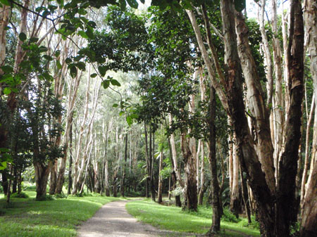 images_1000