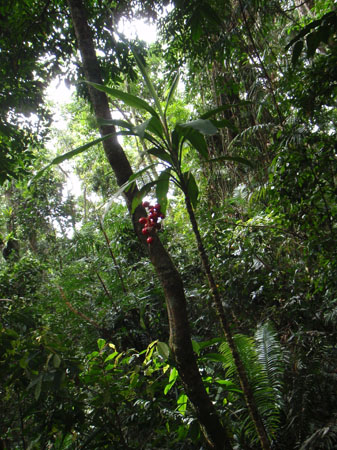 images_1002