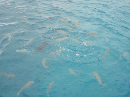 images_104