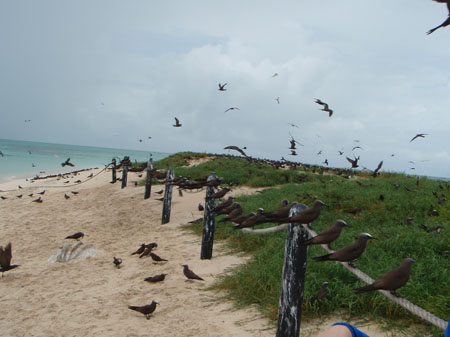 images_176