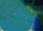 images_002