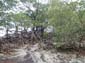 images_007