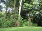 images_010