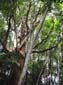 images_011