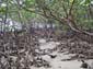 images_012