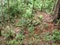images_013
