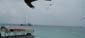 images_016
