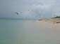 images_017
