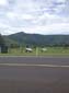 images_020