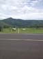 images_031