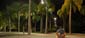 images_044