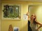 images_049