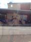 images_053