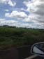 images_075