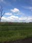 images_079