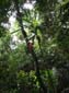 images_1002