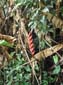 images_1003