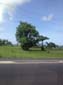 images_1004