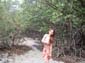 images_1011