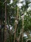 images_1012