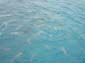 images_104