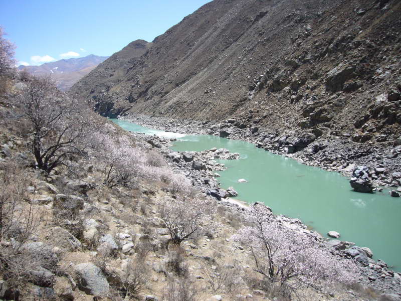 P1010774