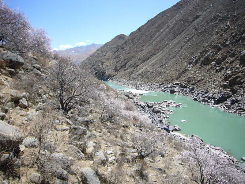 P1010775