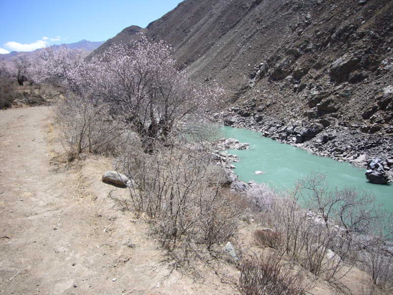 P1010778