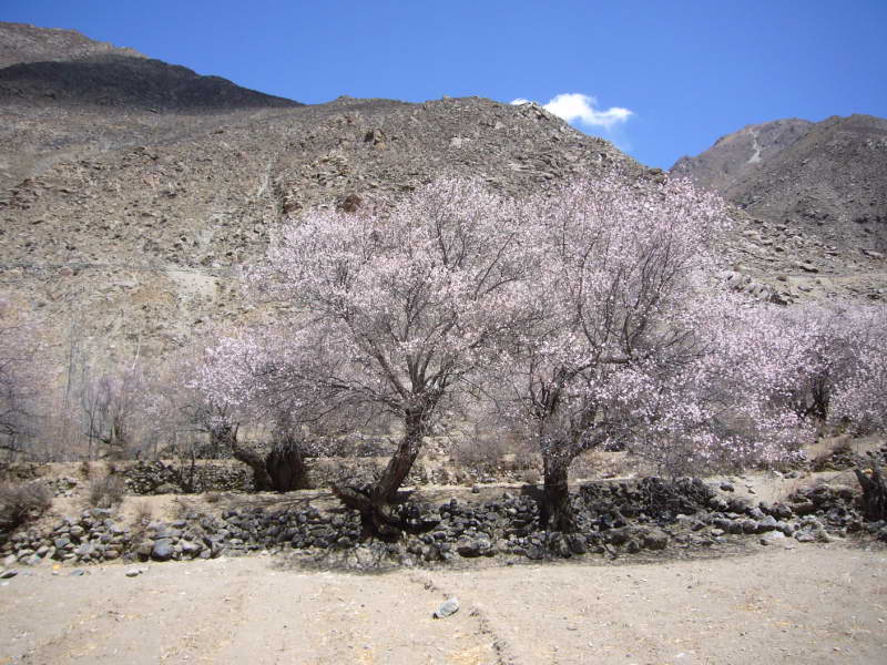 P1010780