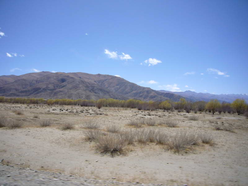 P1010824