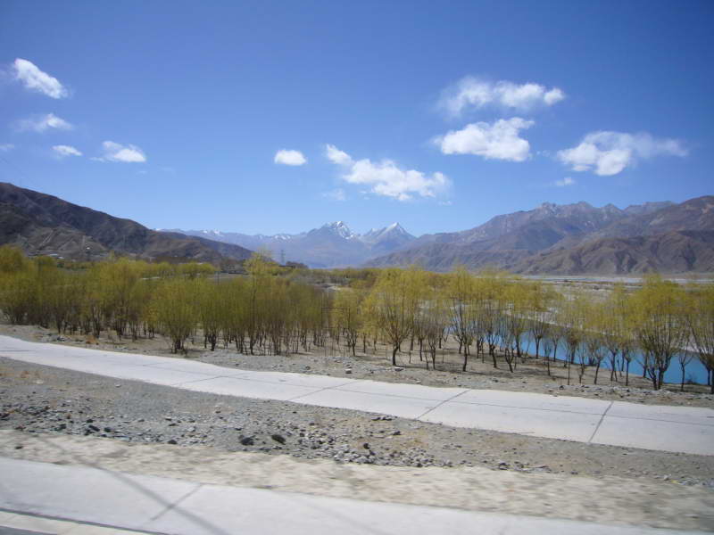 P1010881