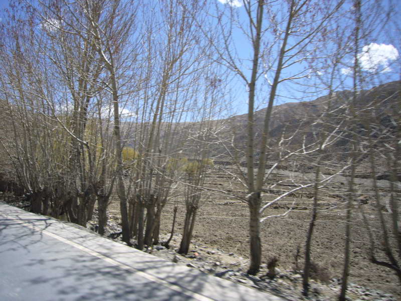 P1010886