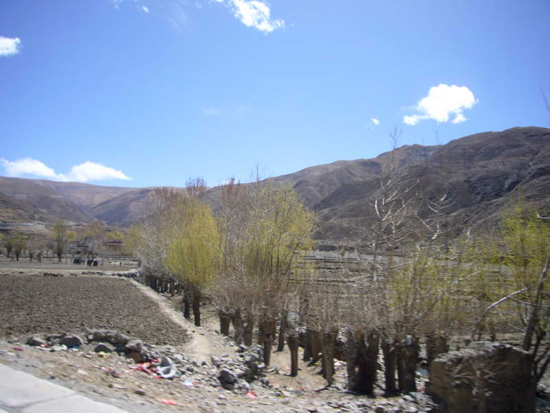 P1010887
