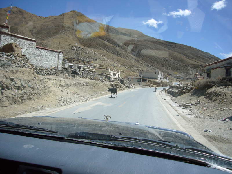 P1010889