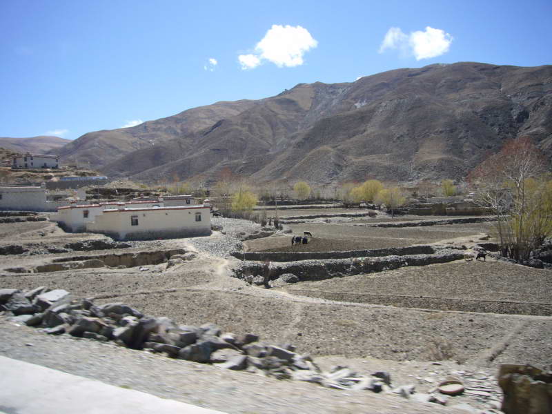 P1010893
