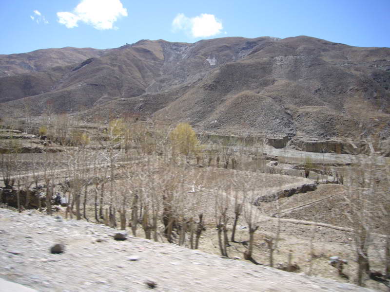 P1010898