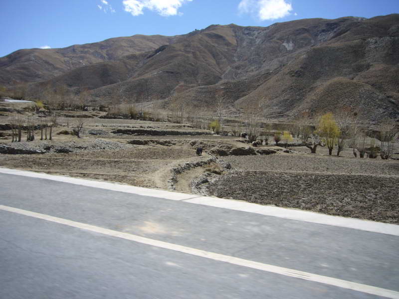P1010899
