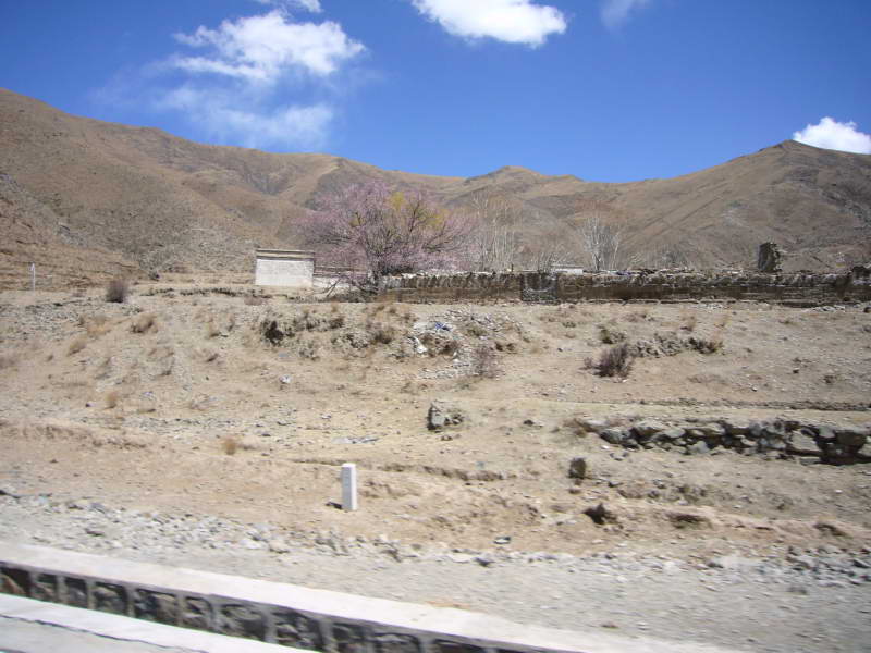 P1010904