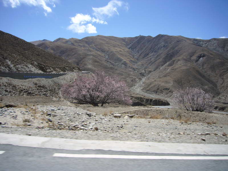 P1010906