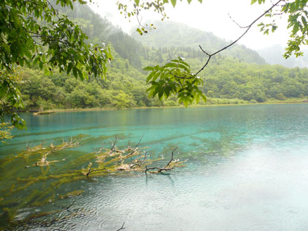P1030336